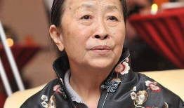 张少华演的电视剧