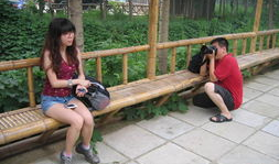 麻豆背,揭秘时尚界的神秘力量