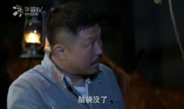 电视剧马上天下全集观看,烽火岁月里的英雄传奇