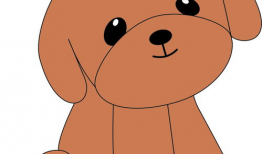 泰迪漫画,温馨搞笑，治愈心灵的故事集