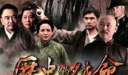 电视剧历史的使命,揭秘革命岁月中的英雄传奇
