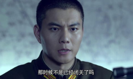 雪豹坚强岁月电视剧,烽火岁月中的英雄传奇