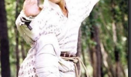 樊少皇电视剧,演绎传奇人生，电视剧中的英雄本色