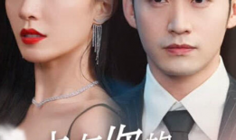 陈一龙电视剧,传奇特工的荣耀与挑战