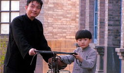 血雨母子情 电视剧,生死相依的感人传奇