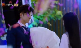 再度降临流星雨电视剧