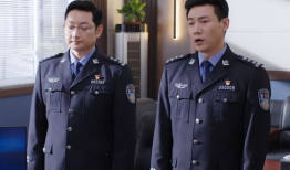 人民警察电视剧,忠诚守护，正义之光