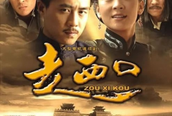 电视剧走西口演员表,实力派明星齐聚演绎传奇人生