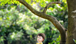 丽江小麻豆摄影,捕捉古城光影的摄影艺术之旅