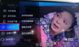 91看电视全部直播源,海量直播源一网打尽，尽享视听盛宴