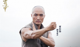 霍元甲电视剧演员表,重温民族英雄传奇，群星荟萃演绎家国情怀