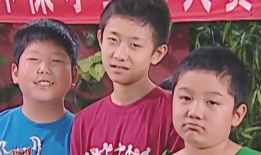 电视剧家有儿女演员表,童星成长记与经典角色回顾