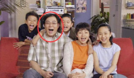 电视剧家有儿女演员表,童星成长记与经典角色回顾