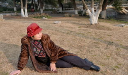 麻豆蝇,揭秘昆虫界的“时尚达人”