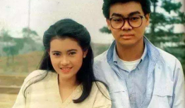 蓝洁瑛电视剧,璀璨星河中的永恒传奇