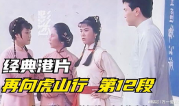 虎山行电视剧,烽火岁月里的忠诚与信仰