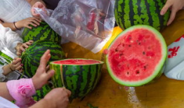 吃瓜爆料入口51cg吃瓜视频,揭秘娱乐圈最新热点事件