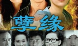 电视剧孽缘,爱恨交织的宿命轮回