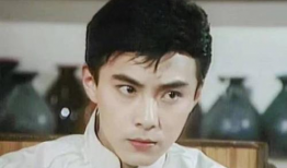 张卫健的所有电视剧,笑傲江湖，演绎百变人生