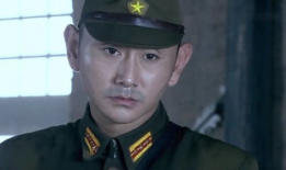 雪豹坚强岁月电视剧,烽火岁月中的英雄传奇