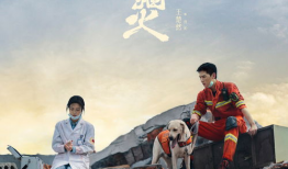 电视剧人间烟火,烟火气里的温情岁月