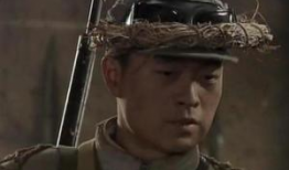 雪豹类似的电视剧,丛林王者归来