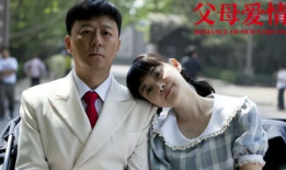 电视剧父母爱情演员表,重温经典，重温感动
