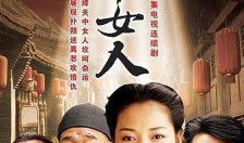 关中女人电视剧,岁月流转中的坚韧与柔情