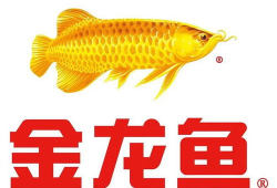 91金龙鱼在哪直播,精彩内容一网打尽