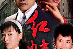 雪豹类似的电视剧,丛林王者归来
