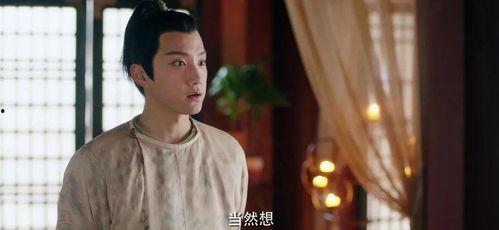 柳条青青电视剧全集,青春岁月里的热血传奇