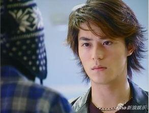 海豚湾恋人电视剧,探寻爱情与命运的海洋奇缘